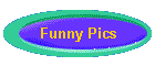 Funny Pics