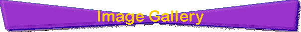 Image Gallery