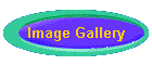 Image Gallery